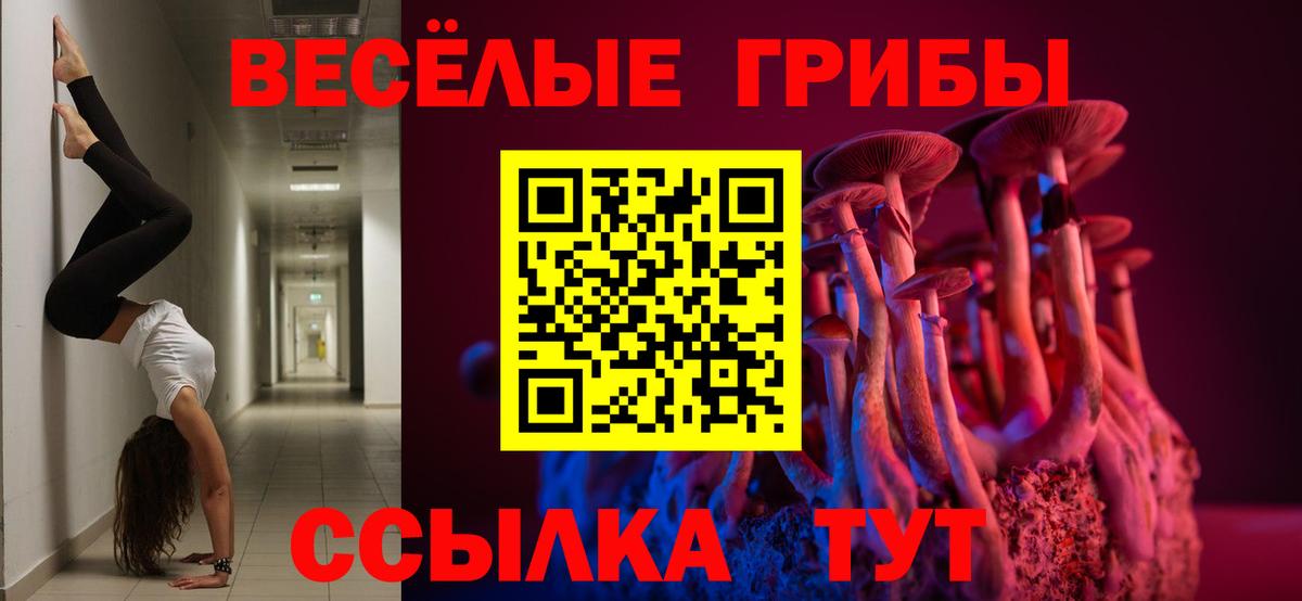 Чусовой  как найти наркотики  Вход с VPN  Галлюциногенные грибы Cubensis 