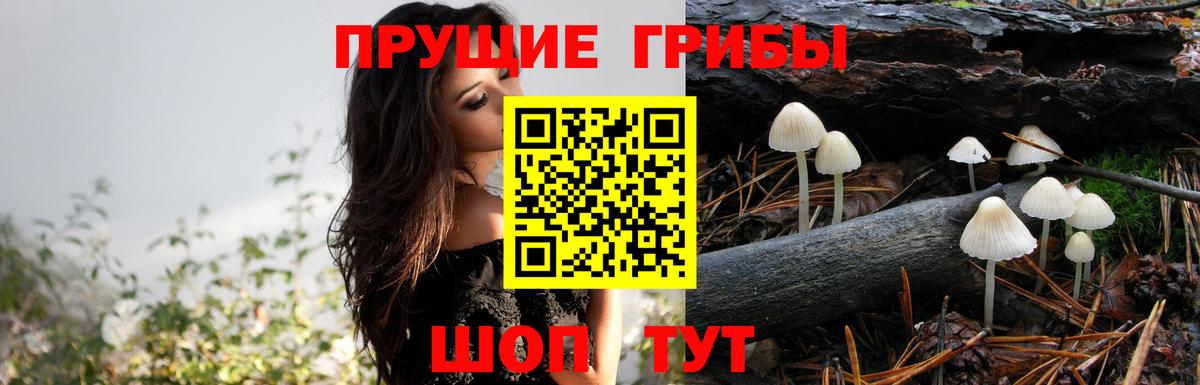 Галлюциногенные грибы MAGIC MUSHROOMS Чусовой